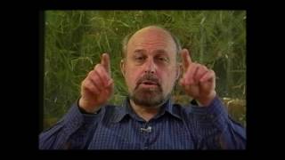 On the Transpersonal with James Fadiman PhD 1997 [upl. by Ardnusal]