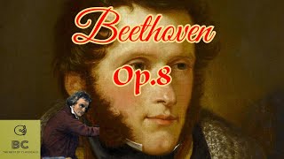 Ludwig van Beethoven  Op8 Serenade in D major [upl. by Gnof64]