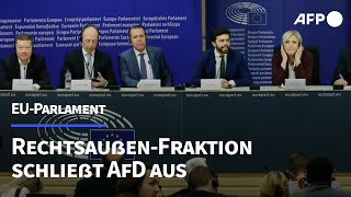 EUParlament RechtsaußenFraktion schließt AfD aus  AFP [upl. by Ancier]