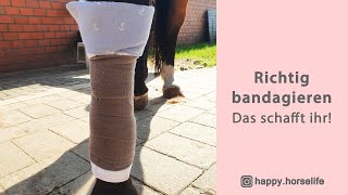 Richtig bandagieren  Anleitung am Pferd  Das schaffst du auch  Wann mit Bandagierunterlagen [upl. by Altis]