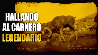 Red Dead Redemption 2 Online  Localizando al Carnero Cuerno de rutilo legendario Naturalista [upl. by Bea932]