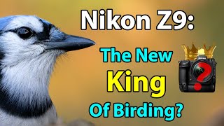 Nikon Z9  41 Firmware The New King Of Birding [upl. by Leonie370]