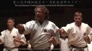 The 2nd Okinawa Traditional Karate and Kobudo Worldwide Seminar 2014 [upl. by Haakon]