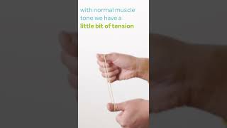 Muscle tone explained with a rubber band [upl. by Rihana]