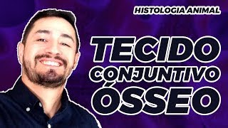 HISTOLOGIA ANIMAL  TECIDO CONJUNTIVO ÓSSEO [upl. by Anoy912]