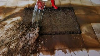 Flooded  dirtiest carpet cleaning satisfying rug cleaning ASMR [upl. by Algie879]