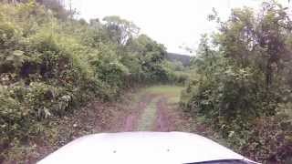 Mazda BT50 pro  Test Drive [upl. by Wicks]