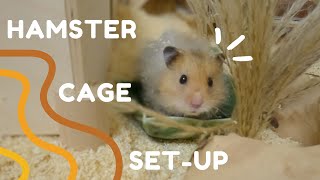 NEW HAMSTER CAGE SETUP 🐹 [upl. by Llohcin]