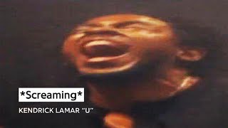 1 Hour Of Silence Occasionally Broken By Kendrick Screaming [upl. by Haywood676]