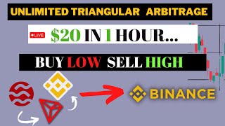 I Made Triangular Arbitrage On Binance So Easy  Earn 20 Profit in an Hour [upl. by Orag]