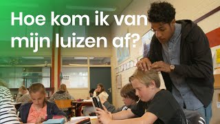 Wat kan ik tegen hoofdluis doen [upl. by Ahswat]