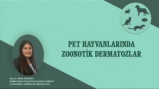 Pet Hayvanlarından İnsanlara Bulaşabilen Deri Kaynaklı Hastalıklar [upl. by Siugram]