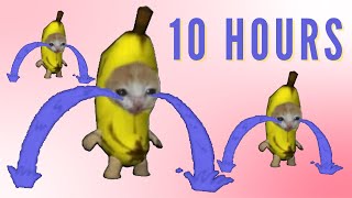 Banana Cat Crying 10 Hours [upl. by Akyssej]