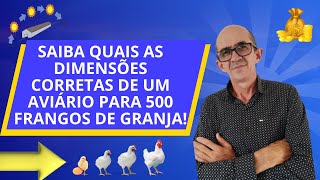 Qual o tamanho de um aviário para criar 500 frangos de granja [upl. by Dnumde803]