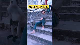 monkey prank 🙉viralshort trandingreels 🙈🤣🤣 [upl. by Aramois591]