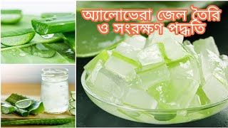 খুব সহজে বাসায় অ্যালোভেরা জেল তৈরি ও সংরক্ষণ পদ্ধতি। How to make Aloe vera jel at home [upl. by Genia]