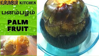 Palm Fruit Recipe  Panampalam  Panampalam With Palm Jaggery Syrup  Heavenly Taste [upl. by Firooc782]