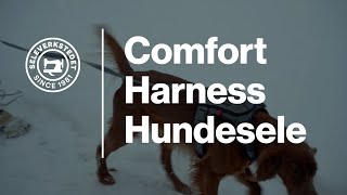 Hundesele Comfort Harness  Seleverkstedet® [upl. by Jacobo]