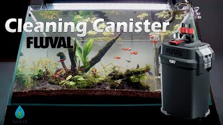 FLUVAL 307  Cleaning Canister Filter [upl. by Noterb]