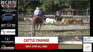 NCHA CHALLENGE FUTURITY amp 1ST CHAMPIONSHIP SHOW CuttingHorses cutting live NCHA OF ITALY 2024 [upl. by Carma]