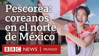 quotPescoreaquot los miles de coreanos que transformaron una ciudad cerca de Monterrey  BBC Mundo [upl. by Frazer]