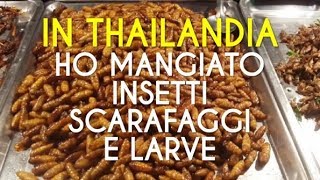 THAILANDIA ORRORI DA GUSTARE [upl. by Elvie]