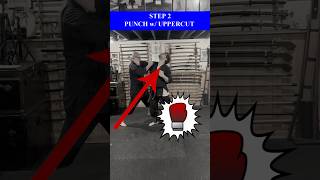 How To COUNTER PUNCH with UPPERCUT in a FIGHT 🥊 Shorts Kempo Karate [upl. by Lenra]