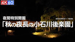 4K60 幻想的夜景！夜間特別開園 秋の夜長の小石川後楽園｜Enchanting Night Views Koishikawa Korakuen Autumn Special Night [upl. by Ahsikan]