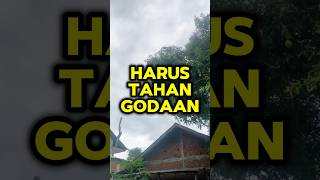 musim mangga harus tahan godaan [upl. by Hnoj]