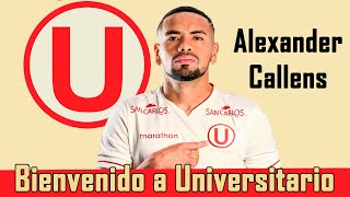 ALEXANDER CALLENS  WELCOME TO UNIVERSITARIO  HIGHLIGHTS [upl. by Fishman]