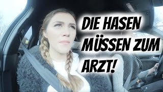 DIE HASEN MÜSSEN ZUM ARZT  AnKat [upl. by Yartnod]