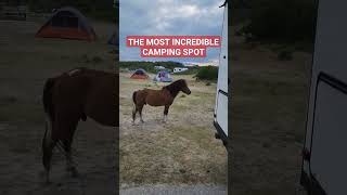 THE BEST CAMPING SPOT TENT CAMPING  ASSATEAGUE ISLAND  Van Life  camping horse offgrid [upl. by Culosio298]