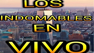 LOS INDOMABLES  EN VIVO [upl. by Kelwunn]