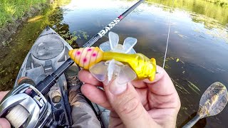 Does This Crazy Lure Really Catch Fish [upl. by Kimmie583]