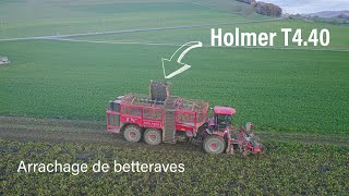 Arrachage de betteraves 🍠 2023  avec une Holmer T440  L’ETA Philippe Glauser [upl. by Ivey3]