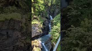 Magnificent Reichenbach Falls Heritage Railway in Switzerland 🇨🇭 🚂😍 switzerland [upl. by Arabel]