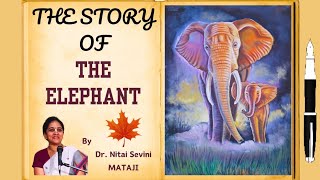 The Story of the Elephant  by DrNitaisevini Mataji nitaisevini [upl. by Aitnic]