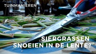 Siergrassen snoeien in het voorjaar Hoe doe je dat  Tuinmanieren [upl. by Adamec]