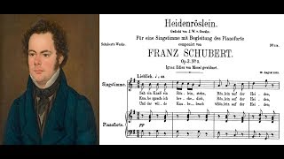 Franz Schubert  Heidenröslein Sheet music and lyrics [upl. by Nwatna358]