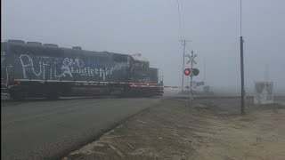 SJVR 442 and 2407 passing Adams Ave Parlier California [upl. by Aicele]