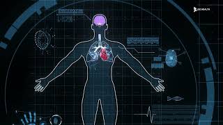 Pleural Effusion [upl. by Yaras419]