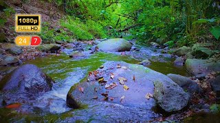 RELAXING AND MEDITATION MUSIC SOOTHING MUSIC WITH SOFT MUSIC to DEEP SLEEP [upl. by Nnailuj]