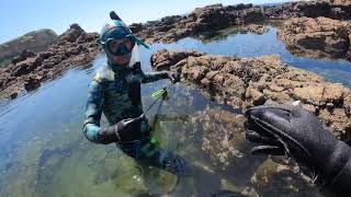 Pesca en Pozas de Marea Palos VerdesFishing in Palos Verdes tide pools [upl. by Nycila991]