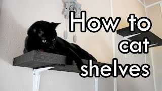 How to Make Cat Shelves  DIY [upl. by Feliks]