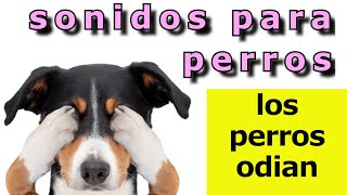 Sonidos Para Perros 🐶 5 Sonidos que los Perros ODIAN 🐶 [upl. by Ydieh]