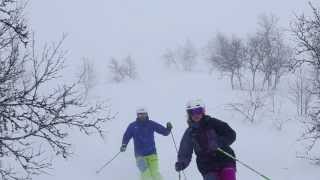 Powder skiing in Hemsedal [upl. by Chadbourne]