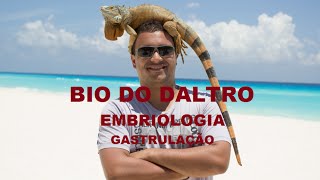 EMBRIOLOGIA  PARTE 03  GASTRULAÇÃO [upl. by Caasi352]