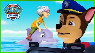 Rescue Knights Pups stop a magical sleepy spell and more episodes  PAW Patrol  Cartoons for Kids [upl. by Gemini530]