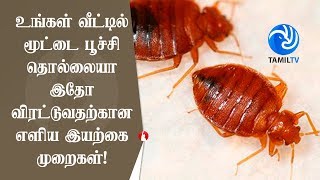 உங்கள் வீட்டில் மூட்டை பூச்சி தொல்லையா இதோ விரட்டுவதற்கான எளிய இயற்கை முறைகள்  Tamil TV [upl. by Inus]