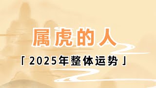 属虎的人2025年犯太岁整体运势分析 生肖虎 犯太岁 运势 属虎人 2025年 [upl. by Akeinahs]